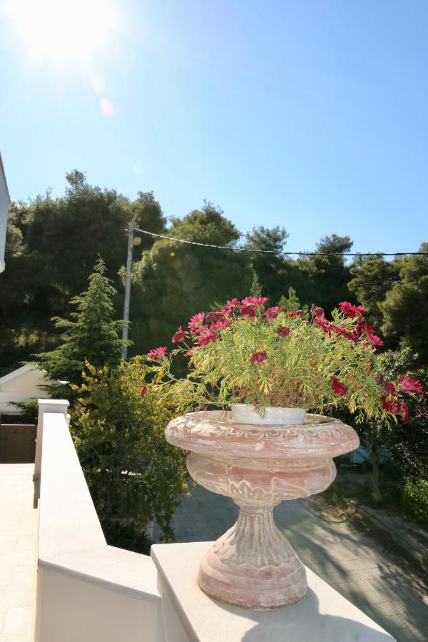 אתונה Villa Ariadne מראה חיצוני תמונה